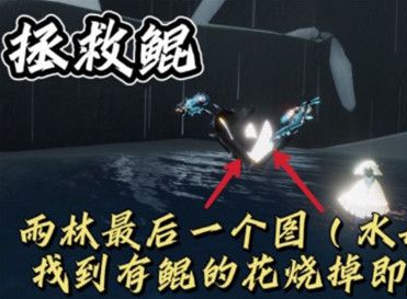 《光遇》2021年10月26日每日任務(wù)攻略