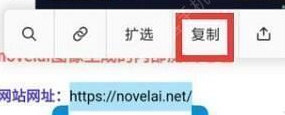 《novelai》圖像生成的內(nèi)部測試地址分享