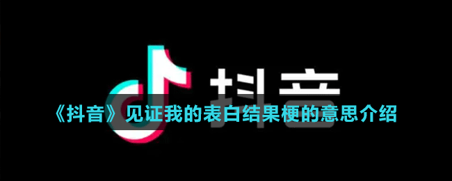 《抖音》見證我的表白結(jié)果梗的意思介紹