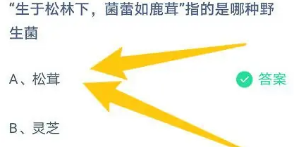 支付寶螞蟻莊園2023年5月18日答案最新