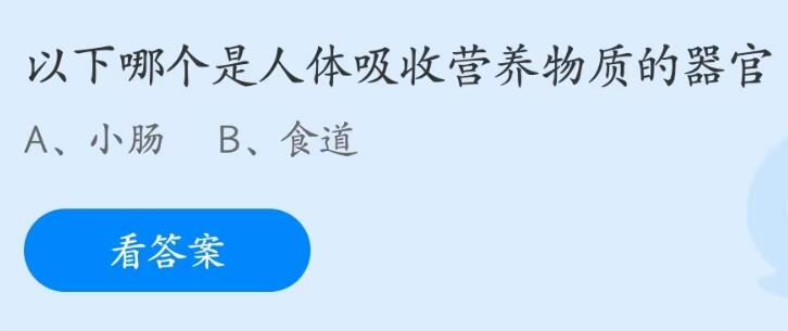 支付寶螞蟻莊園2023年5月31日答案最新