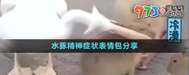 水豚精神癥狀表情包分享