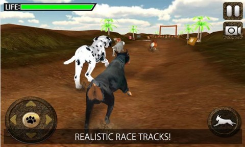 Greyhound Dog Racing 3D截圖(3)