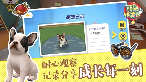 萌寵大人VR修改版截圖(5)