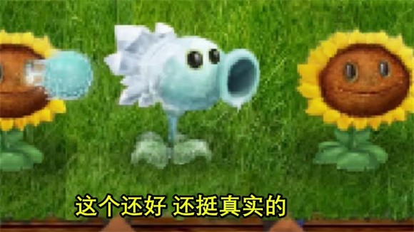 植物大戰(zhàn)僵尸現(xiàn)實畫風(fēng)版截圖(4)