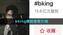 bking梗的意思介紹