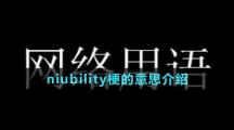 niubility梗的意思介紹