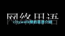 citywalk梗的意思介紹