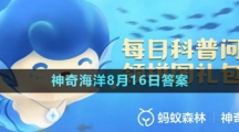 《支付寶》神奇海洋2023年8月16日答案