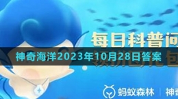 《支付寶》神奇海洋2023年10月28日答案