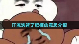 《抖音》汗流浹背了吧梗的意思介紹