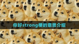 《抖音》你好strong梗的意思介紹