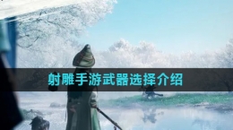 《射雕》手游武器選擇介紹