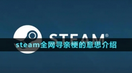 《抖音》steam全網尋親梗的意思介紹