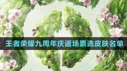 《王者榮耀》2024九周年慶返場票選皮膚名單