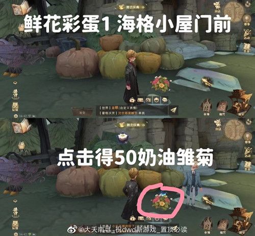 《哈利波特魔法覺醒》6個鮮花彩蛋位置觸發(fā)方法