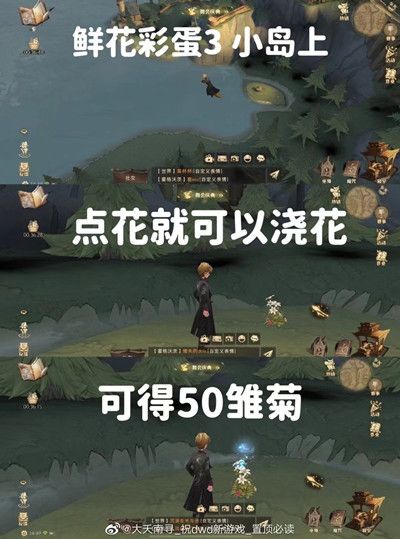 《哈利波特魔法覺醒》6個鮮花彩蛋位置觸發(fā)方法