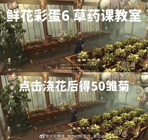 《哈利波特魔法覺醒》6個鮮花彩蛋位置觸發(fā)方法